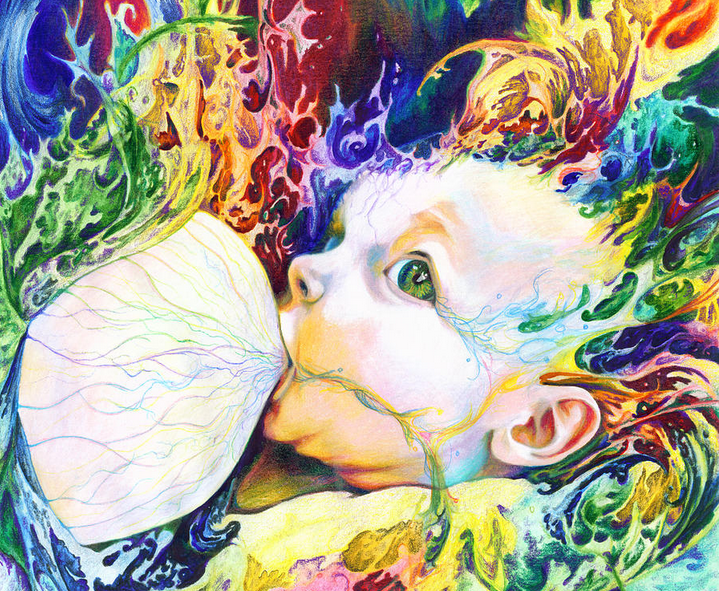 Read more about the article The Birth of a Biome